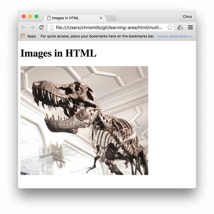 Ein grundlegendes Bild eines Dinosauriers, das in einem Browser eingebettet ist, mit "Bilder in HTML" darüber geschrieben