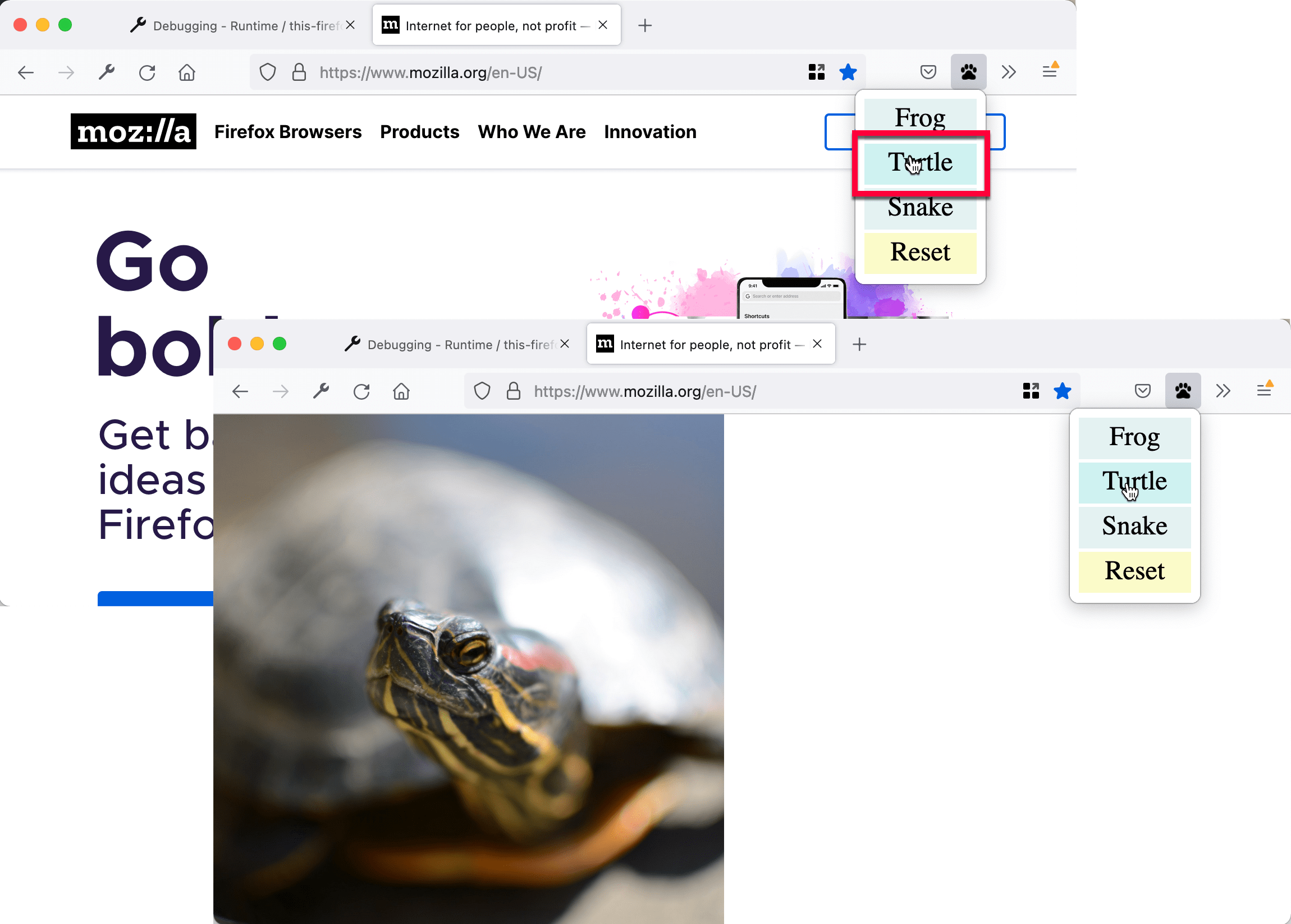 Eine Seite, die mit dem Bild einer Schildkröte ersetzt wurde