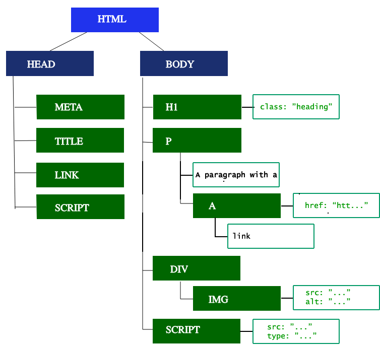 Der DOM-Baum für unseren Beispielcode, der alle Knoten einschließlich Textknoten zeigt.