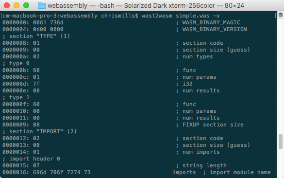 mehrere Binärstrings mit textuellen Beschreibungen neben ihnen. Zum Beispiel: 0000008: 01 ; Sektion Code