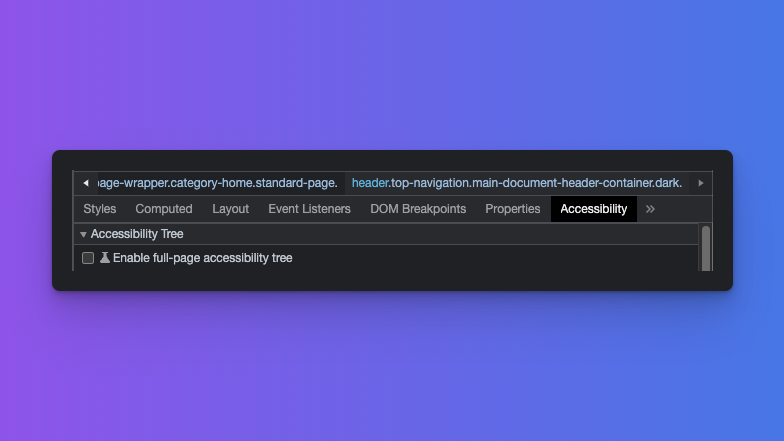 Shows the accessibility tab in the developer tools with the fullpage accessibility tree option visible.