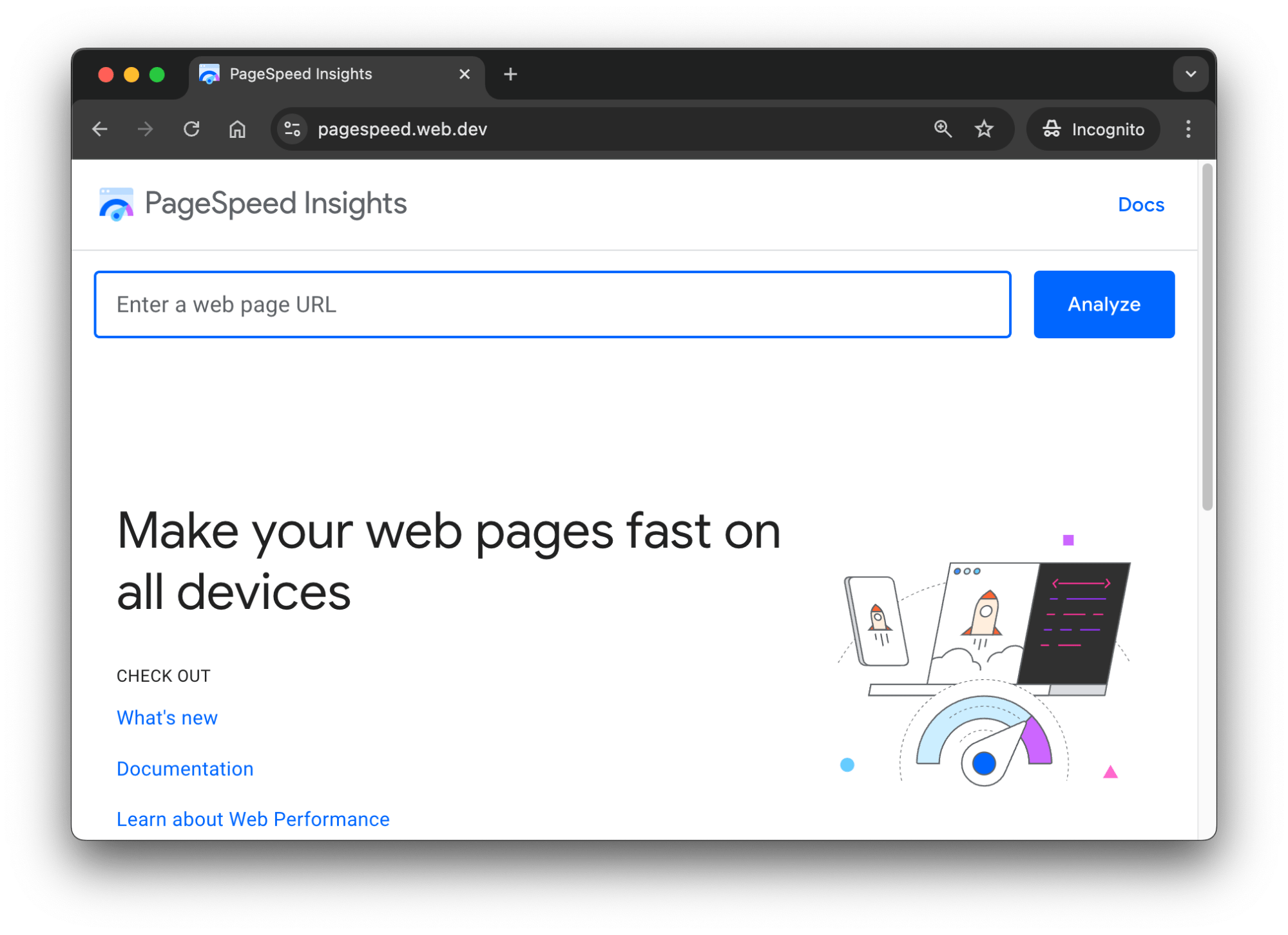 PageSpeed Insights home page