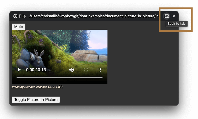 browser window containing an embedded video player and multiple control buttons, with a back to tab button in the top bar, highlighted with a red box