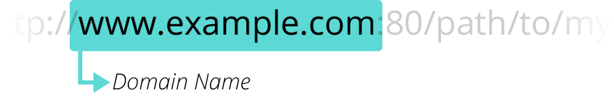 Domain Name